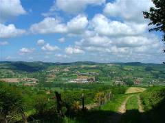 DSCF0379 
