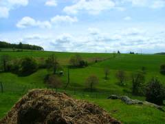 DSCF0385 
