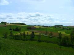 DSCF0388 