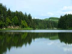 DSCF0396 