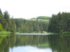 DSCF0397b 