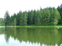 DSCF0398 