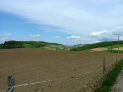 DSCF0399 
