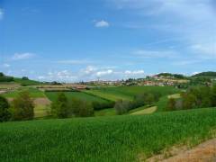 DSCF0404 